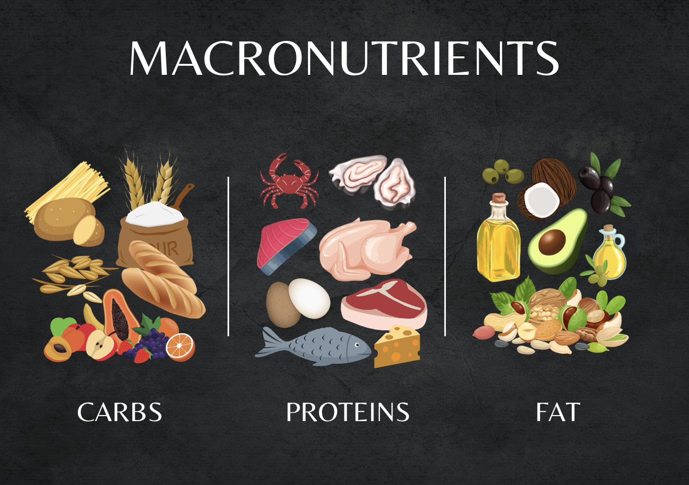 Macronutrients-Thrive